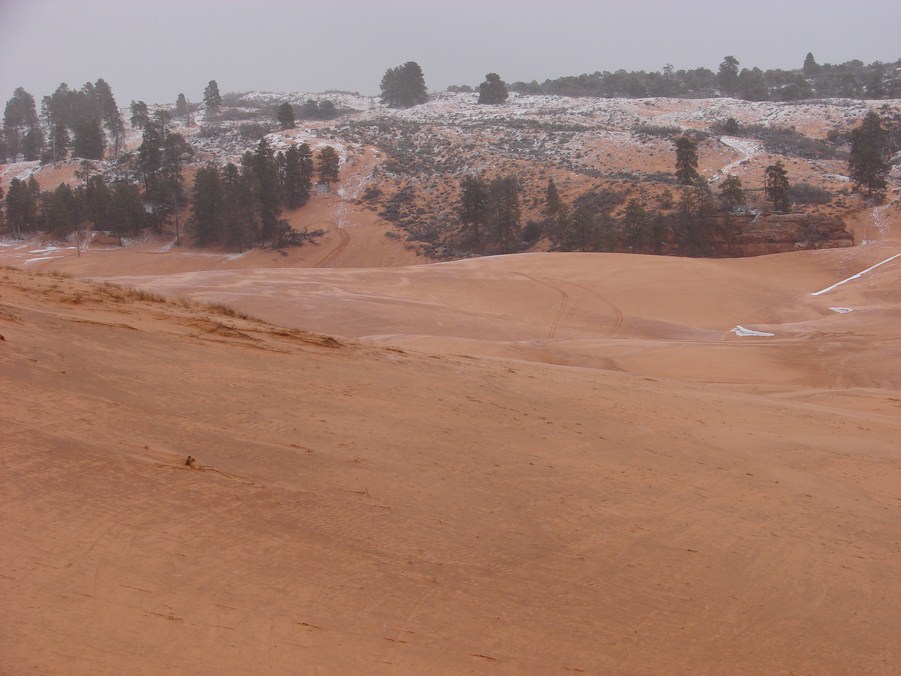 coral pink dunes (6).JPG